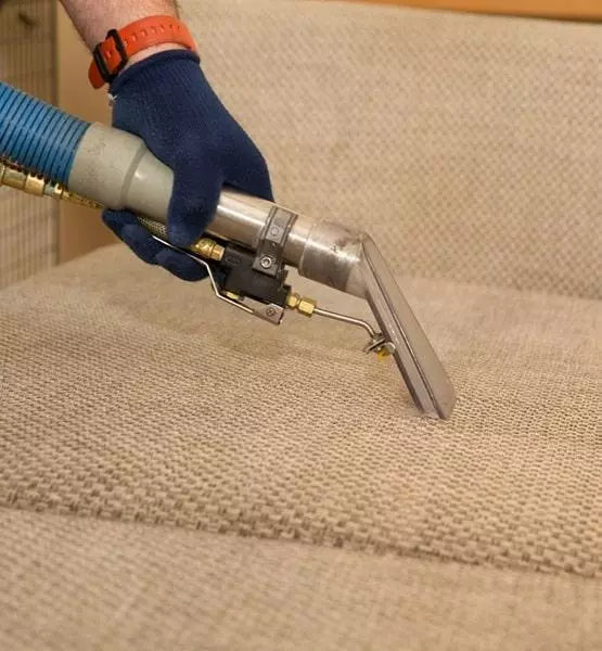 Couch Cleaning
